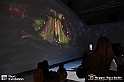 VBS_8077 - Van_Gogh_experience